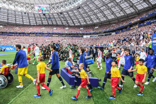 提供了巨大 提供了巨大