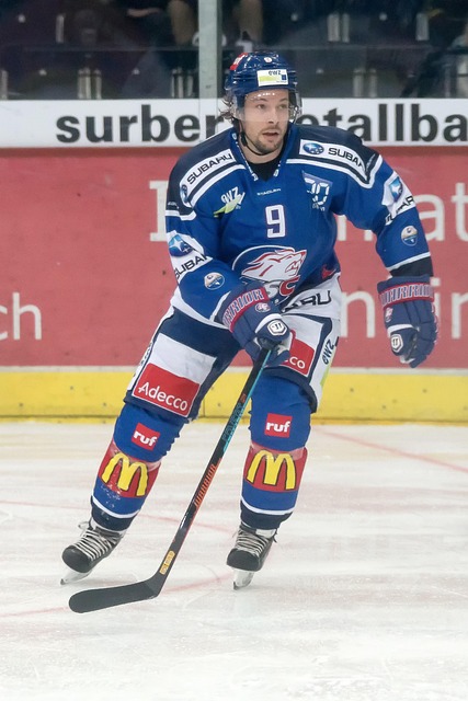 爱好者能够 爱好者能够